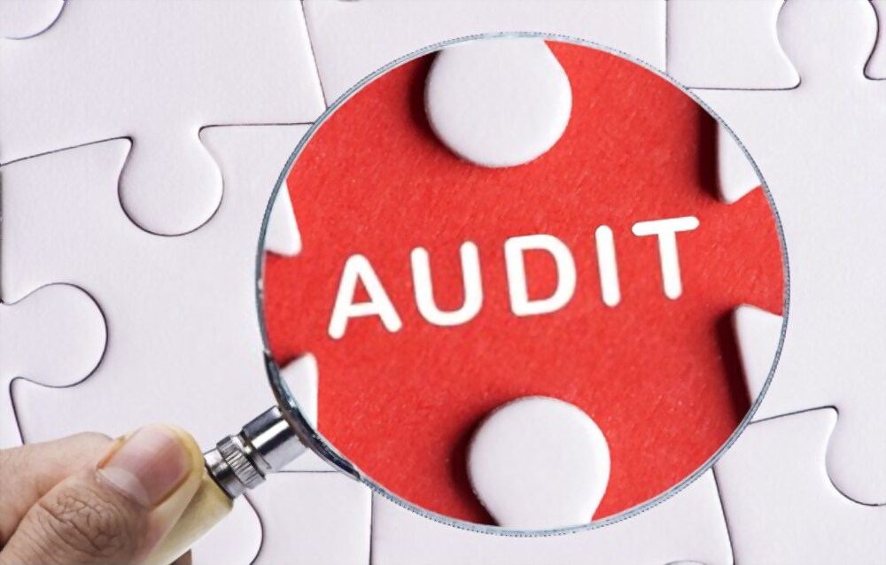 business_audit