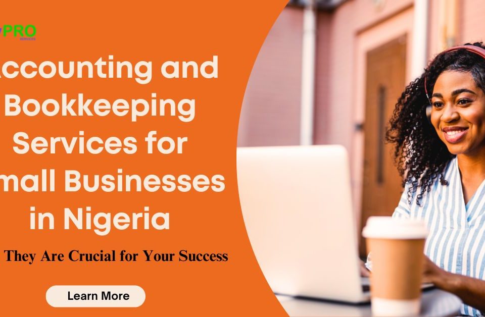 Accounting and Bookkeeping Services for Small Businesses in Nigeria: Why They Are Crucial for Your Success