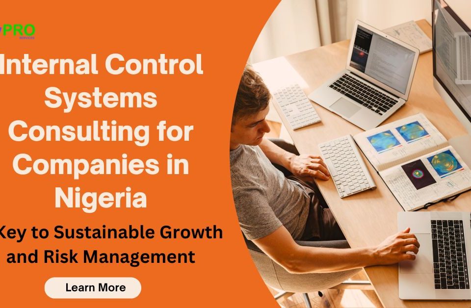 Internal Control Systems Consulting for Companies in Nigeria: A Key to Sustainable Growth and Risk Management