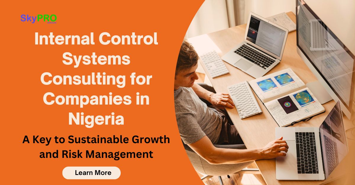 Internal Control Systems Consulting for Companies in Nigeria: A Key to Sustainable Growth and Risk Management