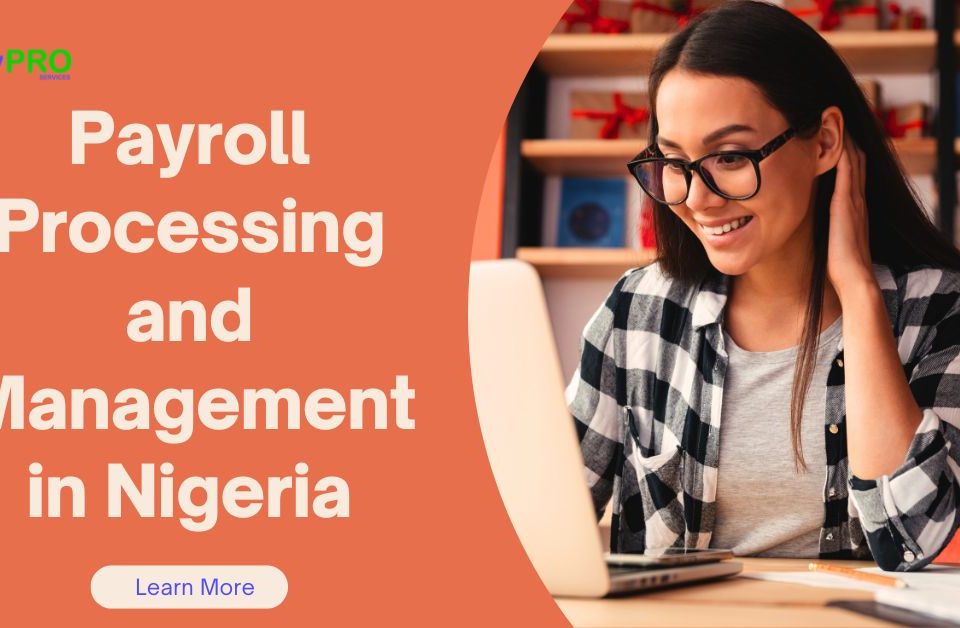 Payroll Processing and Management in Nigeria: Streamlining Efficiency for Business Growth