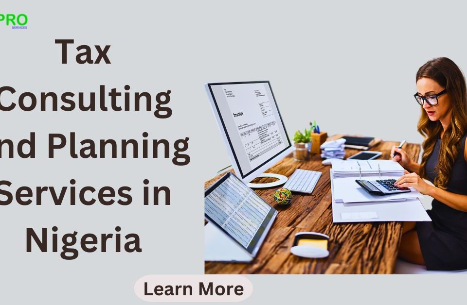 Tax Consulting and Planning Services in Nigeria: Navigating the Complexities of Tax Compliance