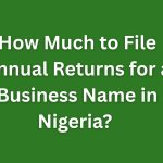 How Much to File Annual Returns for a Business Name in Nigeria?