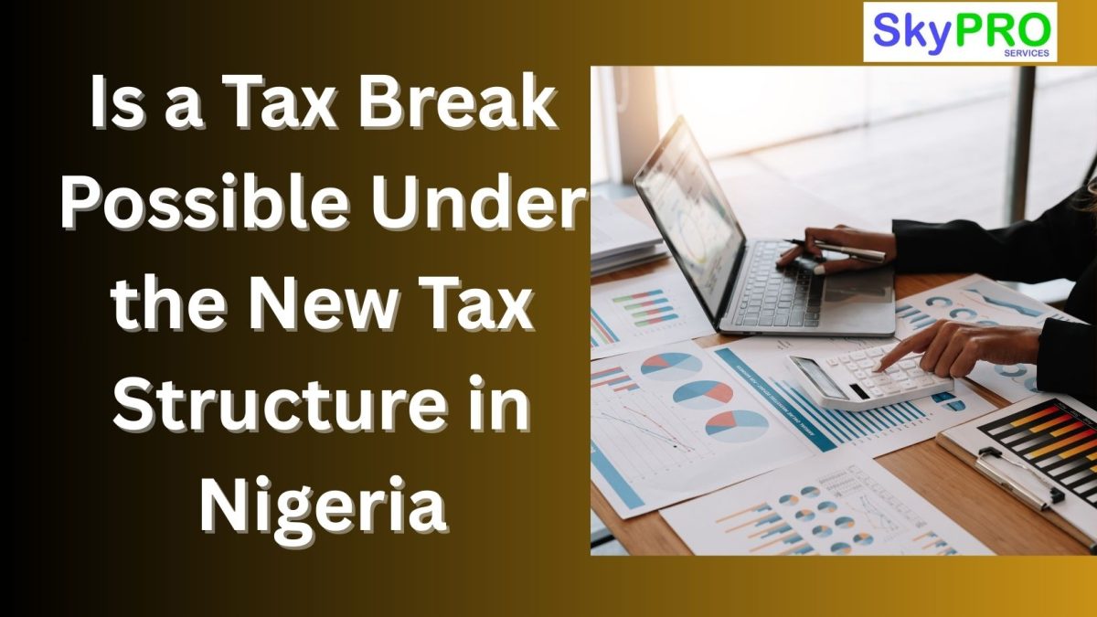 Is a Tax Break Possible Under the New Tax Structure in Nigeria
